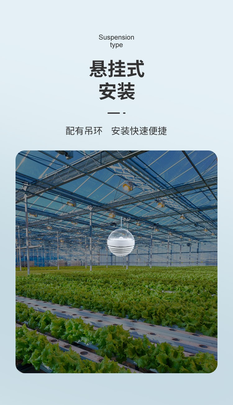 小Q精灵_08.jpg